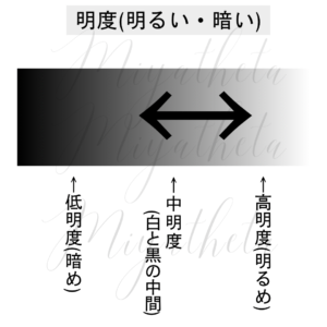 グラデーションカラースケール® パーソナルパーソナルカラー診断東京 横浜 ブルべ 夏冬の中間 ぐらい タイプ分けしない