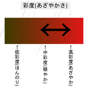 グラデーションカラースケール® パーソナルパーソナルカラー診断東京 横浜 ブルべ 夏冬の中間 ぐらい タイプ分けしない